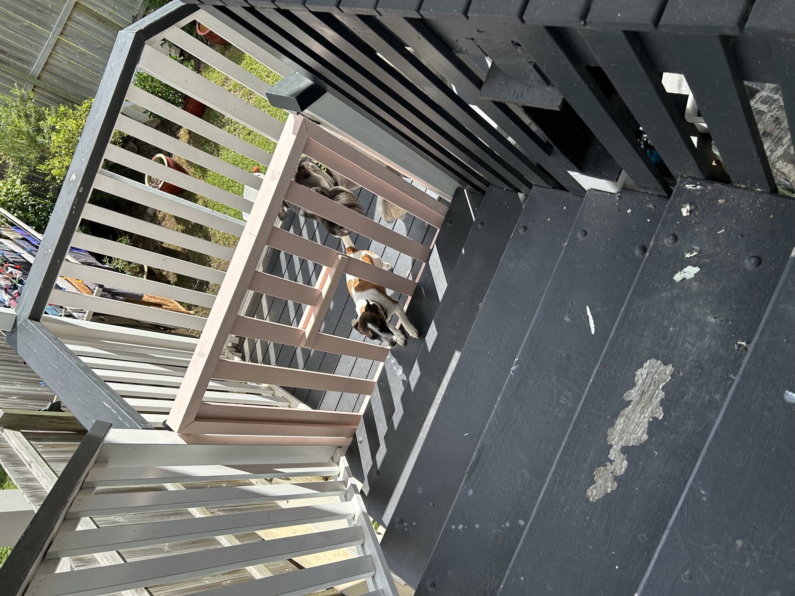 The Coorparoo Queenslander raised at 3.35 metres — the space underneath open and ready for the build