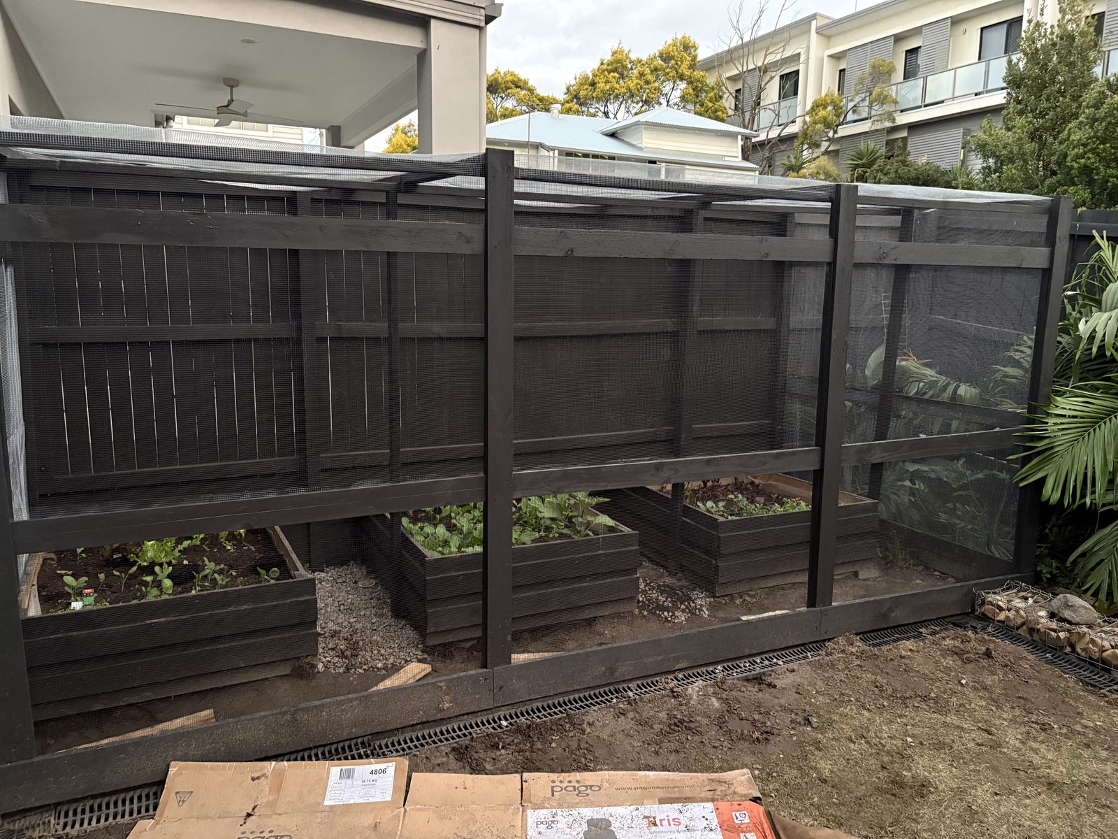 The completed walk-in enclosure fully clad in fine black mesh, raised beds with growing vegetables visible inside, built in dark-stained timber matching the back fence