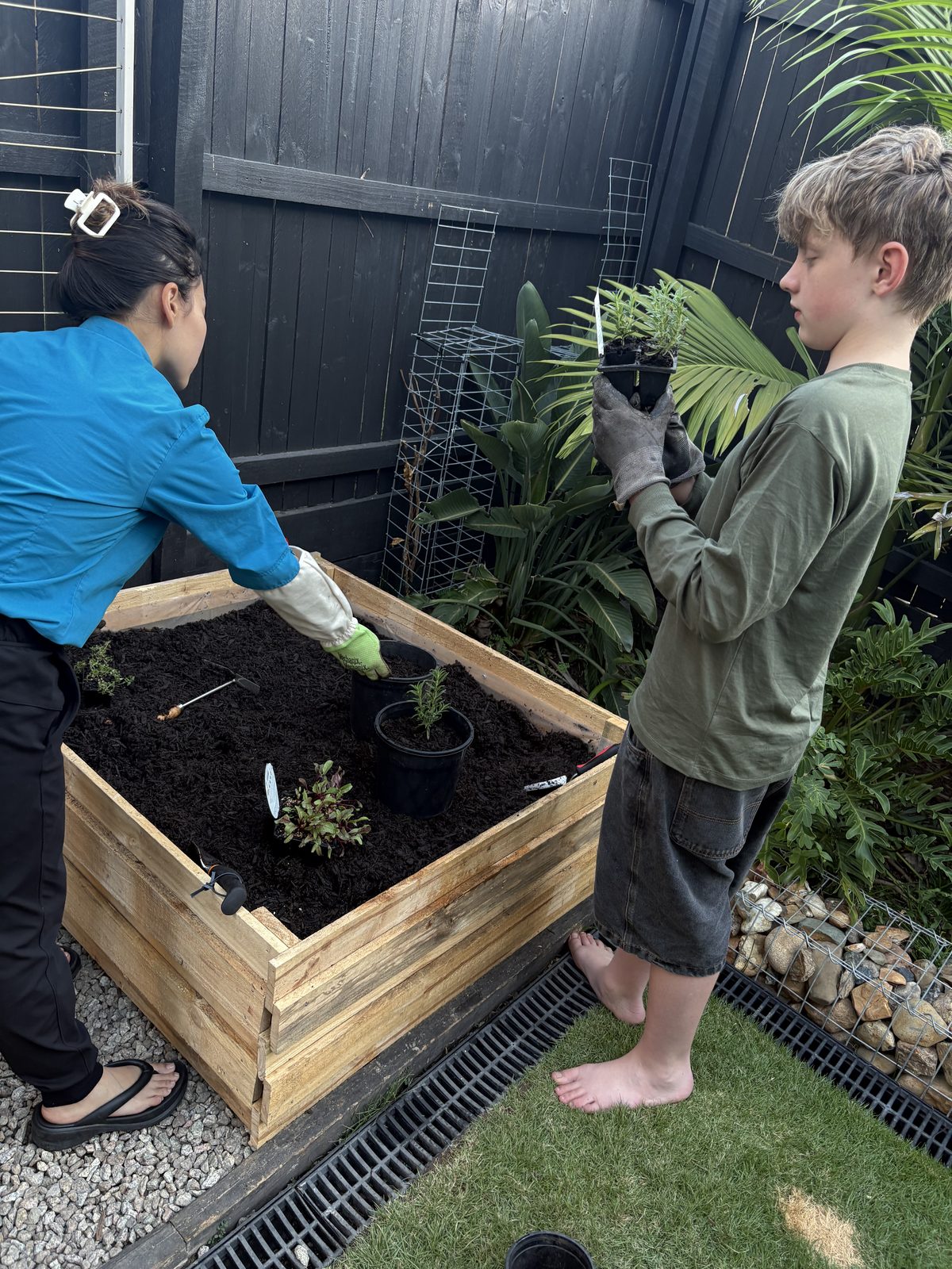 The zip-up pop-up greenhouse at the foot of the deck stairs, seed trays and labelled punnets lined up inside on the shelves, with the family dog standing guard alongside